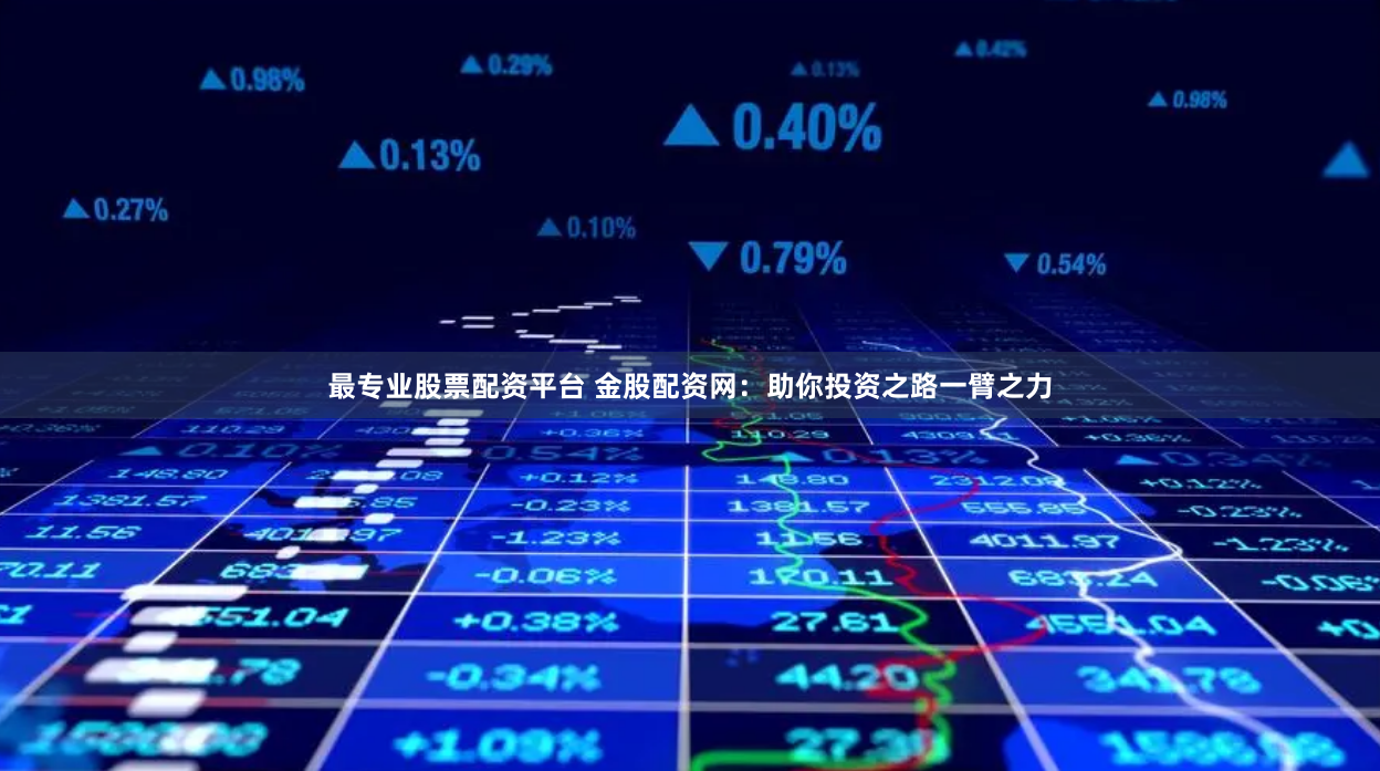 最专业股票配资平台 金股配资网：助你投资之路一臂之力