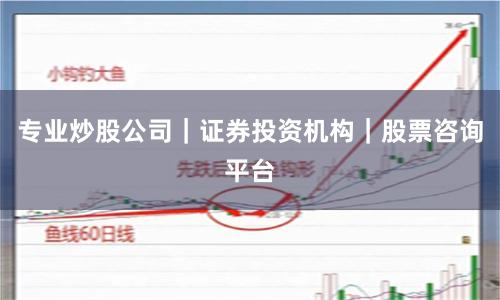 专业炒股公司｜证券投资机构｜股票咨询平台